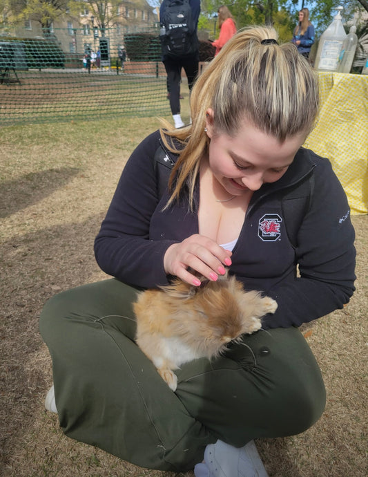 Bunny/Rabbit Care